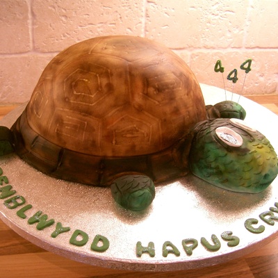 Tortoise Birthday Cake