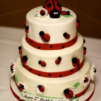 Ladybug Birthday Cake