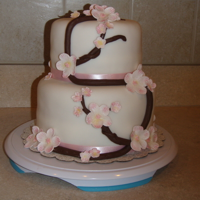 Cherry Blossom Cake