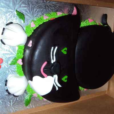 Gato Enamorado/ Kitty In Love