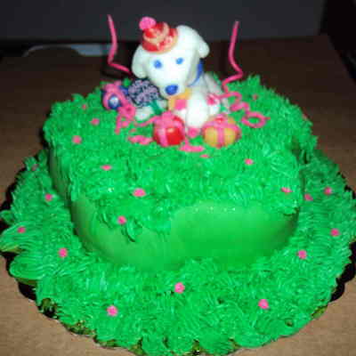 White Labrador Labrador Blanco