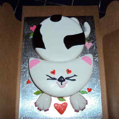 White Cat Gato Blanco