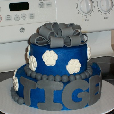 Memphis Tigers Cake
