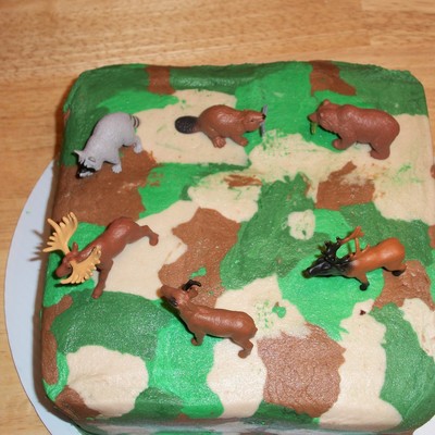 Camo Cake