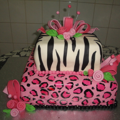My 22Nd Birthday Cake (Zebra And Cheetah Or Leopard Print)