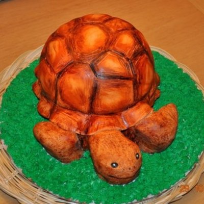 Turtle Cake