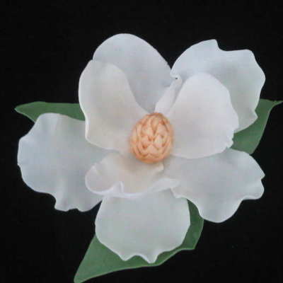 Magnolia