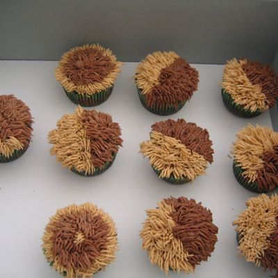 Cupcakes To Go With Tarantula Cake