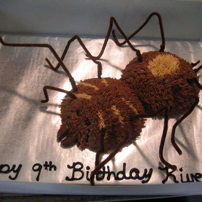 Tarantula
