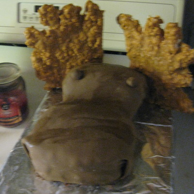 Moose