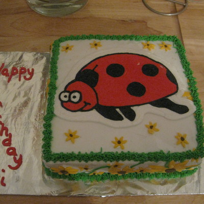Ladybug Birthday