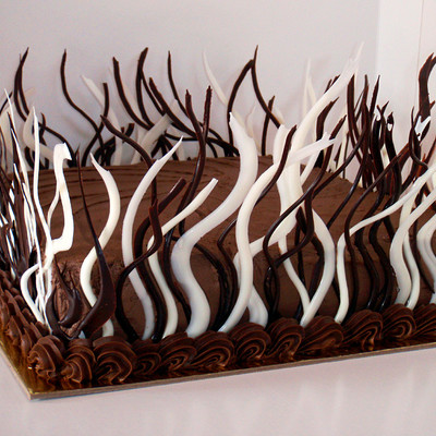 Chocolate On Chocolate Black And White