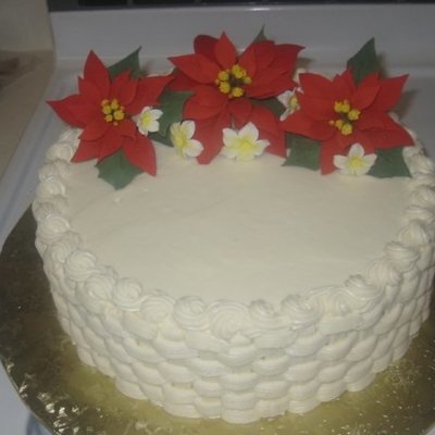 Christmas Birthday