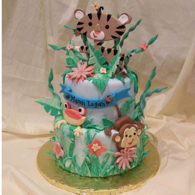 Fisher Price Rainforest