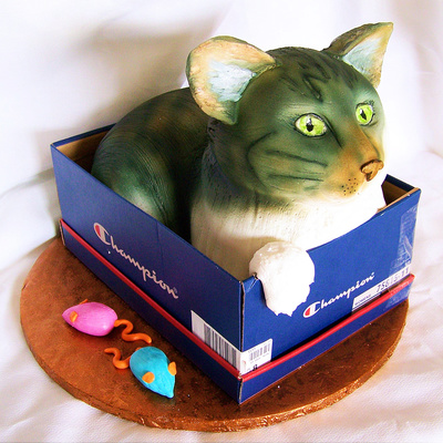 Kitty In A Shoebox Groom's Cake