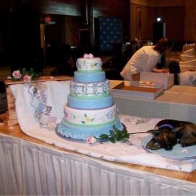 "let Them Eat Cake" Competition Entry/bridal Show