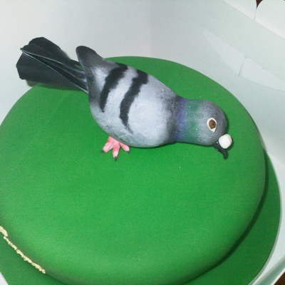 Europa Classic One Loft Race Pigeon Cake