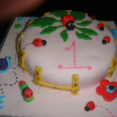 Lady Bug Smash Cake