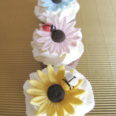 Bee And Ladybird Cupcakes
