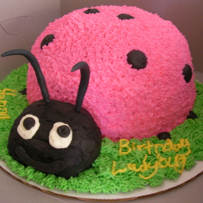 Pink Ladybug