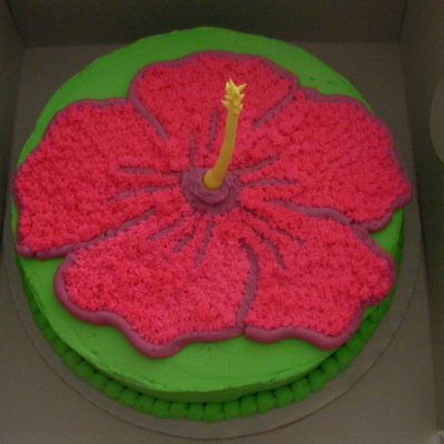 Hibiscus Flower