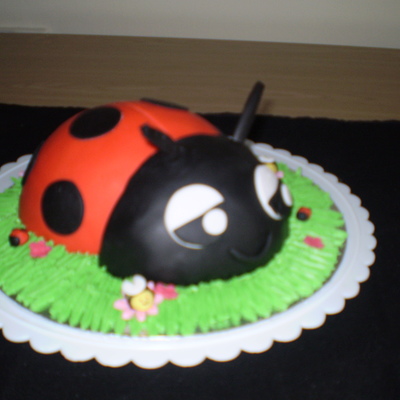 Ladybug Cake