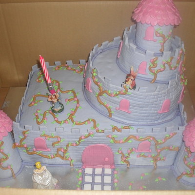 Sleeping Beauty's Castle