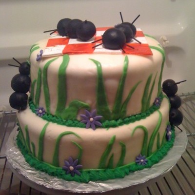 Picnic Cake