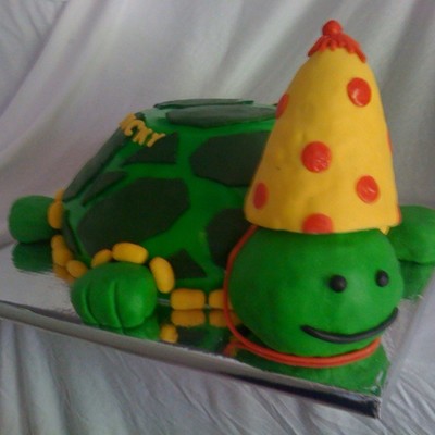Turtle Cake