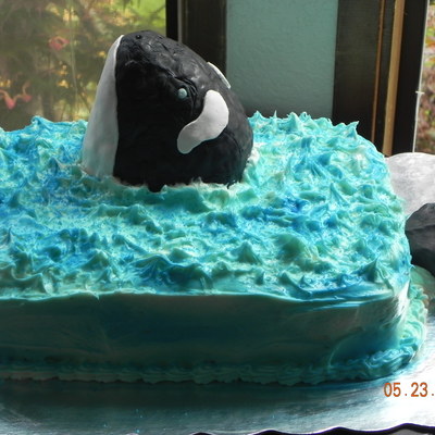 Orca Cake
