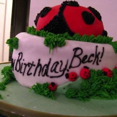 Ladybug Cake