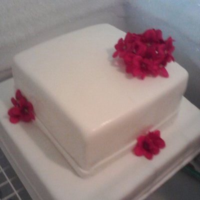 White And Rasberry Wedding Cake