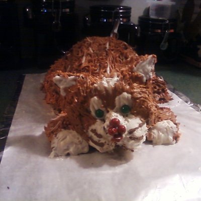 Cat Cake