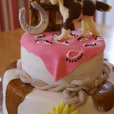 Pink Cowgirl Birthday Cake