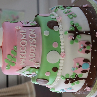 Owl/bird Baby Shower Cake