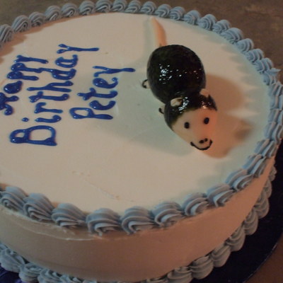 Possum Birthday Cake