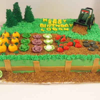 Farmer Boy Cake