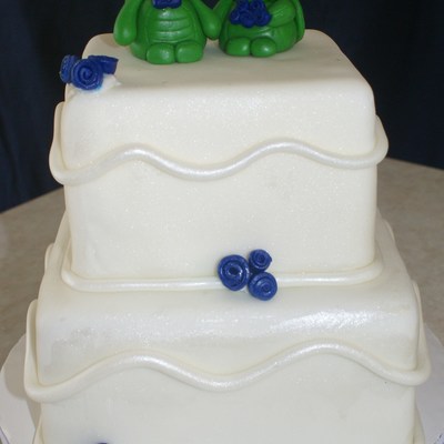 Bridal Shower Cake For Bride Who Loves Turtles