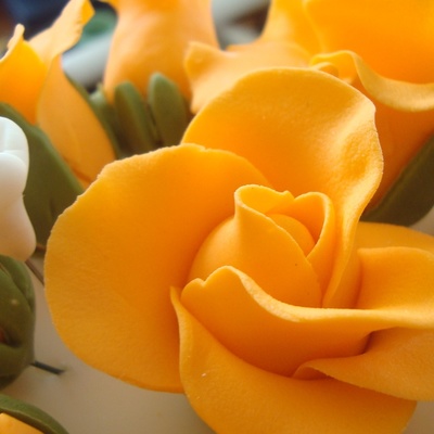 Gum Past Rose