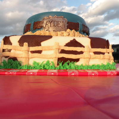 Country Western Party Cake
