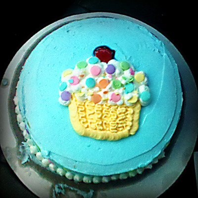 Wilton Class 1 Week 2