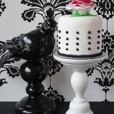 Black/white Dots & Rose