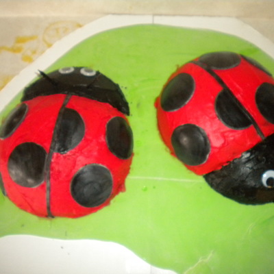 Lady Bugs