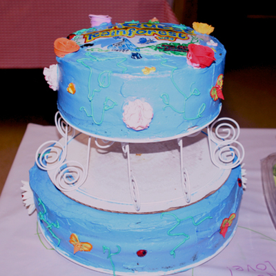Sonquest Rainforest Vbs Cake
