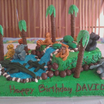 David's Jungle Cake