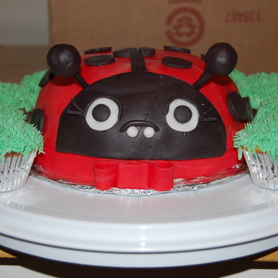 Fondant Ladybug Cake