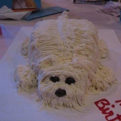Puppy Cake