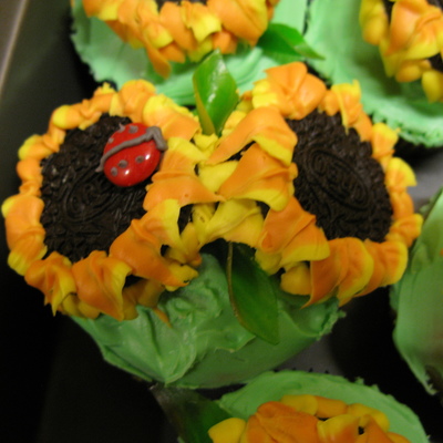 Sunflower Cupcakes