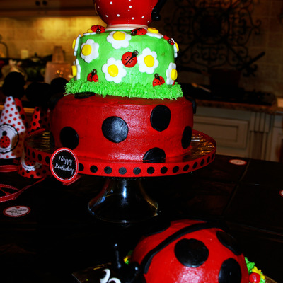 Ladybug Teaparty Cake