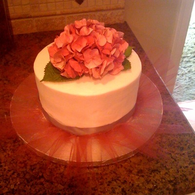 Hydrangea Cake!